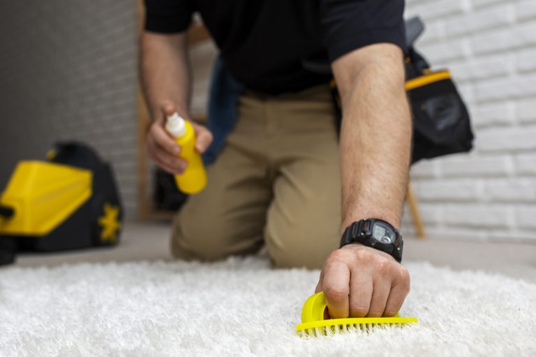 professional carpet cleaning cost