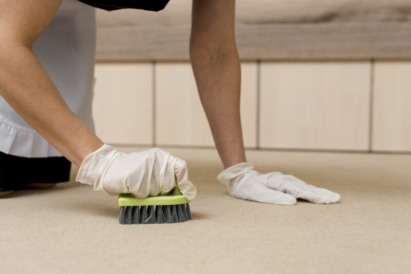 How To Clean A Carpet By Hand Easily