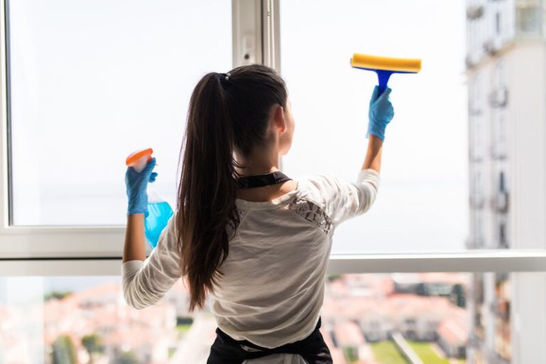 how does window cleaning services cost
