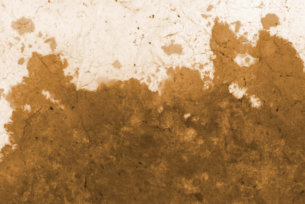 how to get mud out of carpet