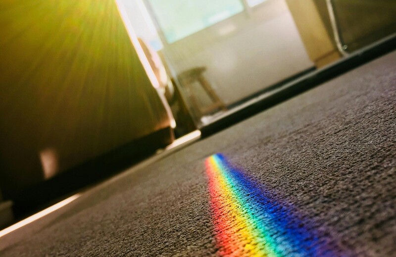 how to dry carpet after cleaning