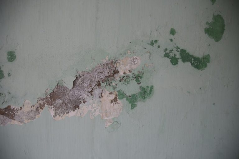 Removing Stains from Painted Walls Without Damaging Paint