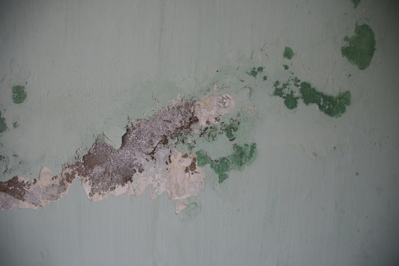 Removing Stains from Painted Walls Without Damaging Paint