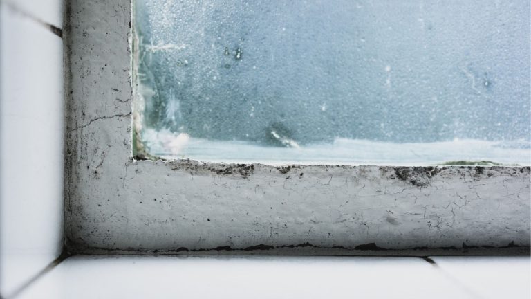 How to Get Rid of Black Mould on Window Sills Safely