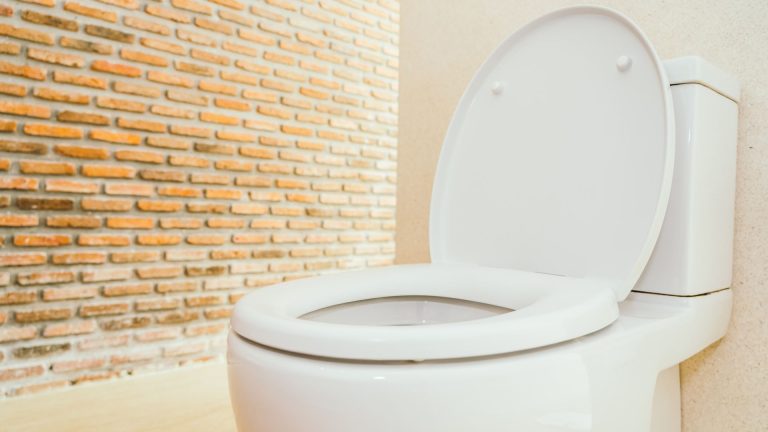 How to Remove Limescale from a Toilet Bowl Without Scrubbing