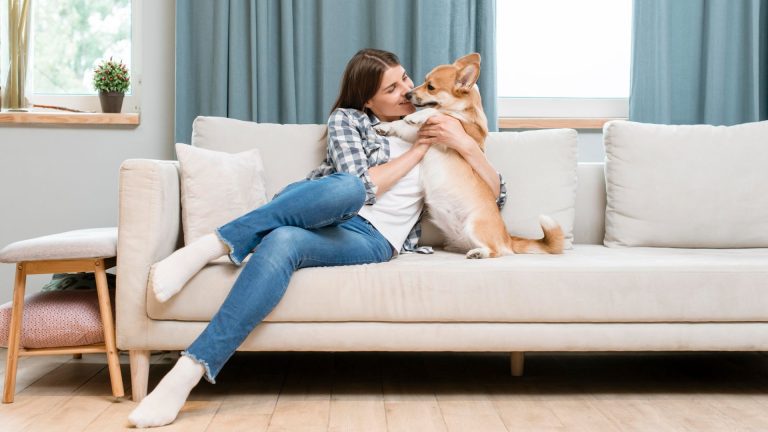 How to Remove Pet Hair from Carpet Before Cleaning